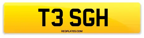 T3 SGH