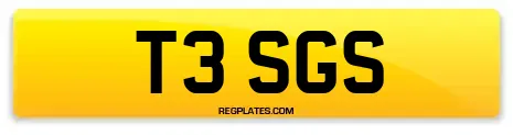 T3 SGS