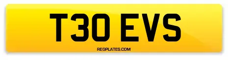 T30 EVS