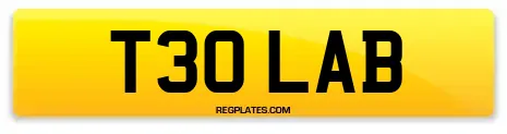 T30 LAB