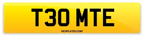 T30 MTE