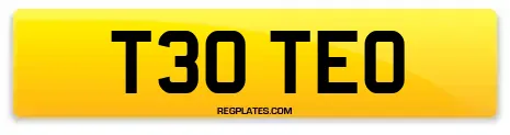 T30 TEO