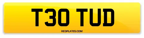 T30 TUD