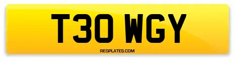 T30 WGY