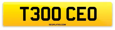 T300 CEO