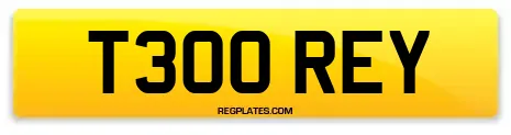 T300 REY