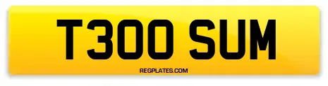 T300 SUM