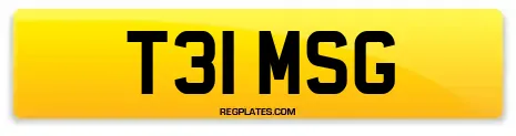 T31 MSG