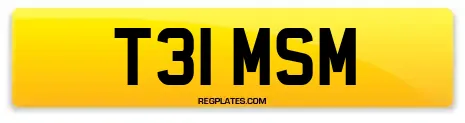 T31 MSM