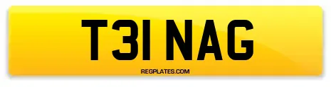 T31 NAG
