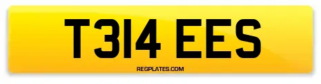 T314 EES