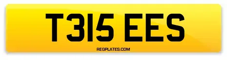 T315 EES
