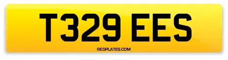 T329 EES