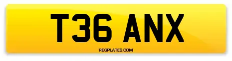 T36 ANX