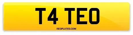 T4 TEO