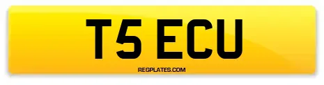 T5 ECU