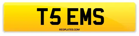 T5 EMS