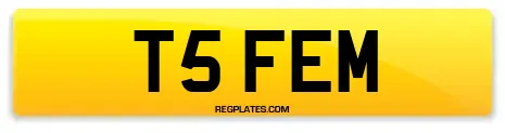 T5 FEM