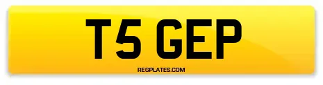 T5 GEP