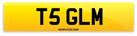 T5 GLM