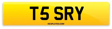 T5 SRY