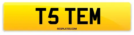 T5 TEM