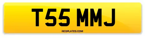 T55 MMJ
