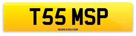 T55 MSP