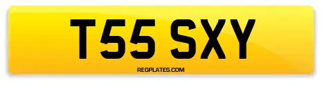 T55 SXY