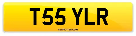 T55 YLR
