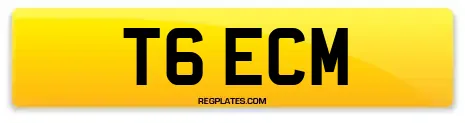 T6 ECM