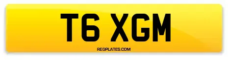 T6 XGM