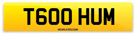 T600 HUM