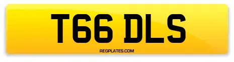 T66 DLS