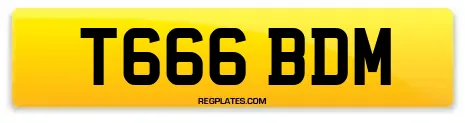T666 BDM