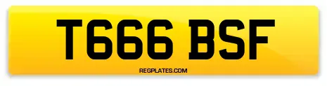 T666 BSF