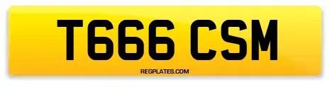 T666 CSM