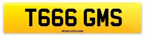T666 GMS
