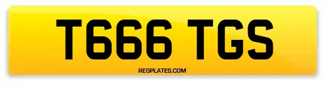T666 TGS