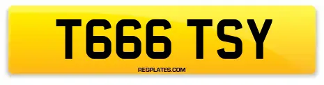 T666 TSY