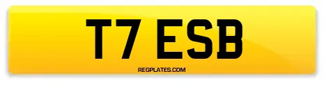 T7 ESB