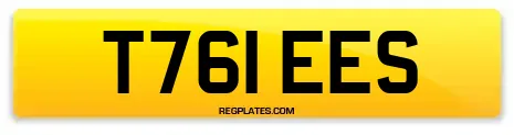 T761 EES