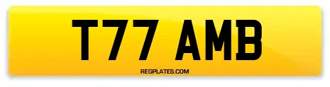 T77 AMB