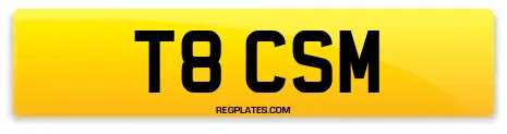 T8 CSM