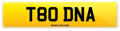 T80 DNA