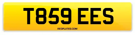 T859 EES