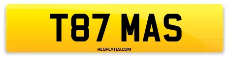 T87 MAS