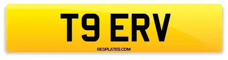 T9 ERV