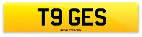 T9 GES