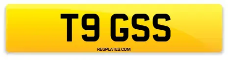 T9 GSS